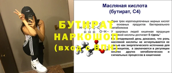 индика Баксан