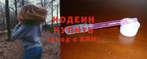 индика Баксан