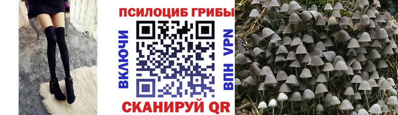 Галлюциногенные грибы Cubensis  Белово 