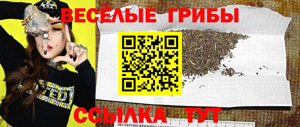 Псилоцибиновые грибы ЛСД  Вход с VPN  Псилоцибиновые грибы мицелий  купить наркотики сайты  Белово 